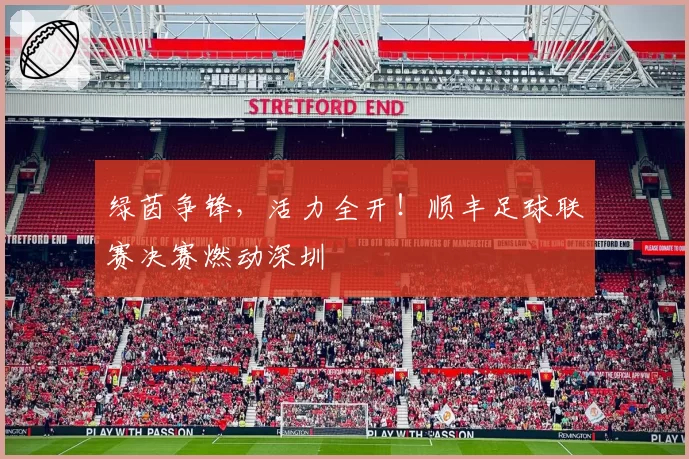 绿茵争锋，活力全开！顺丰足球联赛决赛燃动深圳