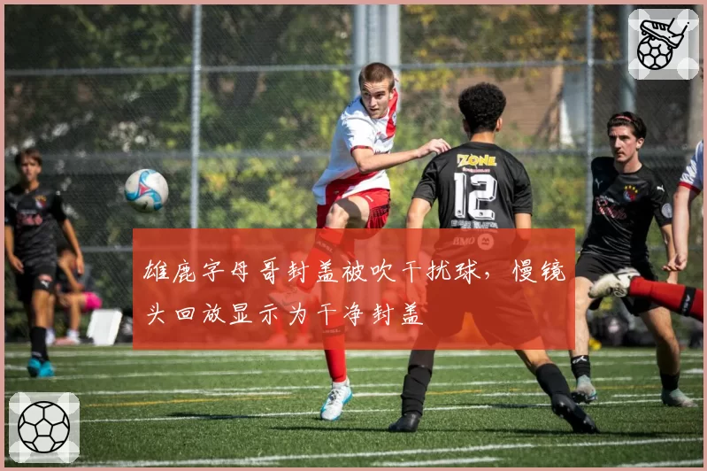 雄鹿字母哥封盖被吹干扰球，慢镜头回放显示为干净封盖