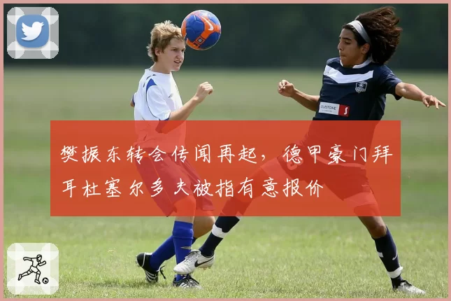 樊振东转会传闻再起，德甲豪门拜耳杜塞尔多夫被指有意报价