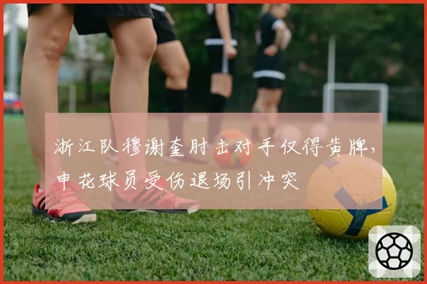 浙江队穆谢奎肘击对手仅得黄牌，申花球员受伤退场引冲突
