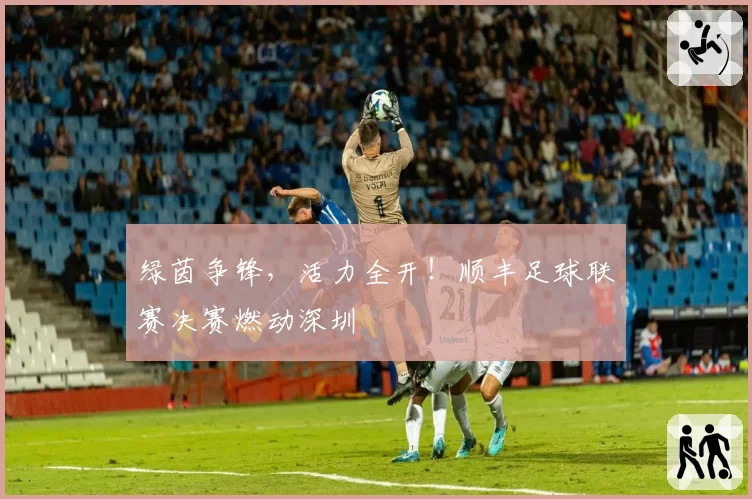 绿茵争锋，活力全开！顺丰足球联赛决赛燃动深圳