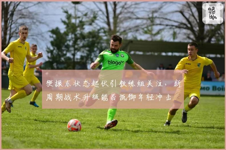 樊振东状态起伏引教练组关注,新周期战术升级能否抵御年轻冲击