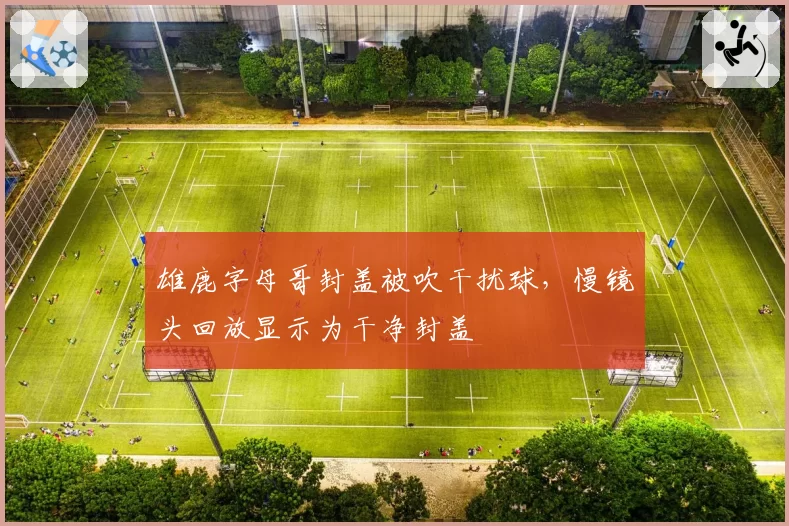 雄鹿字母哥封盖被吹干扰球，慢镜头回放显示为干净封盖